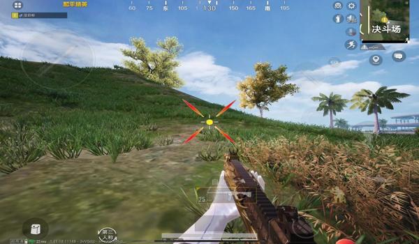 辅助神器和平精英多少元