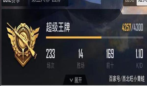 和平精英青铜辅助在哪里