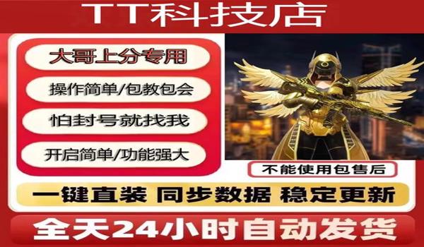 和平精英辅助是什么职业