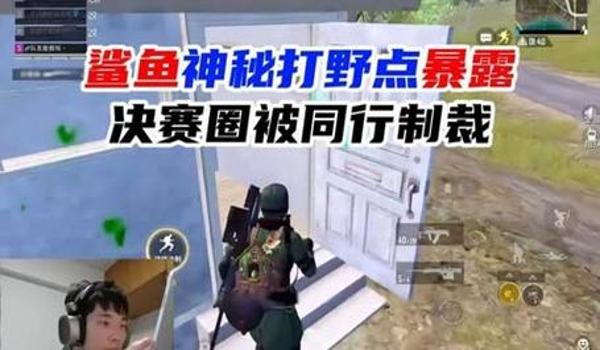 辅助打野和平精英的软件