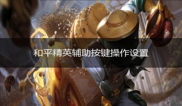 和平精英辅助碗怎么用不了