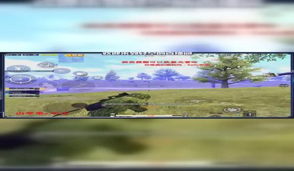 和平精英辅助官网龙王