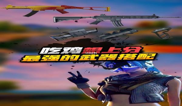 手游和平精英辅助设备