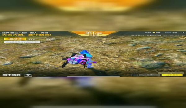 和平精英邪梦辅助软件