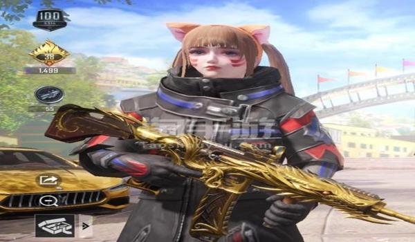 和平精英猫咪辅助官网