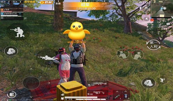 和平精英有什么好的辅助