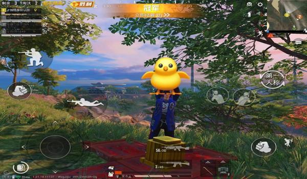 和平精英辅助是什么样的