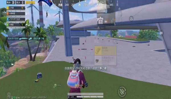 和平精英爆头线准星辅助器