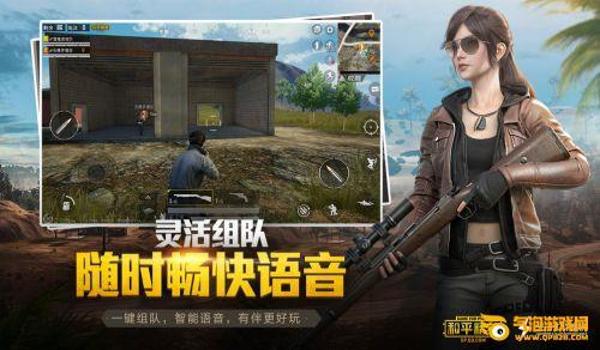 和平精英可可辅助打不开