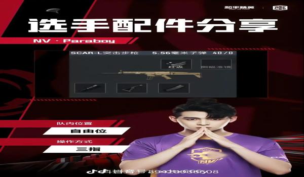 和平精英的辅助在哪里看