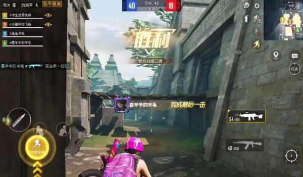 和平精英鸡你太美辅助器