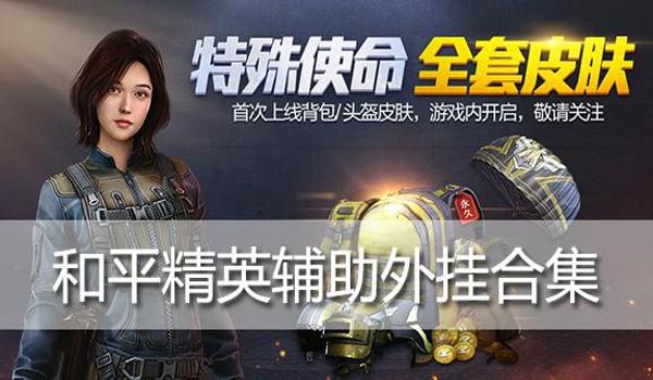 和平精英卡盟辅助怎么弄