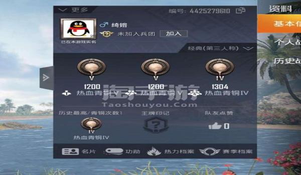 和平精英辅助防封引擎号