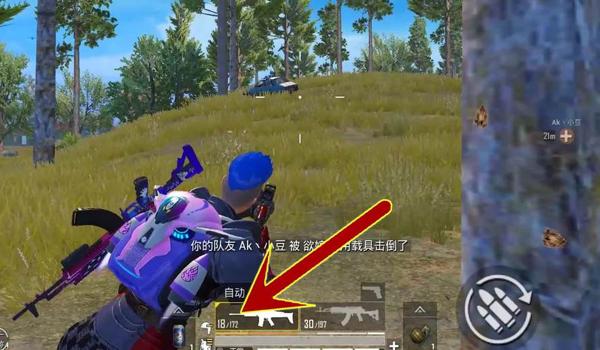 和平精英辅助瞄准bug