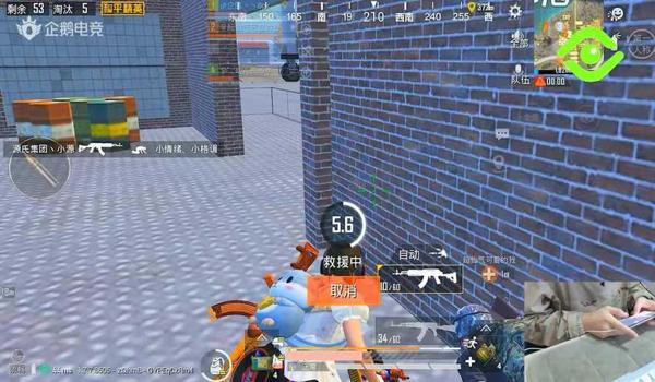 和平精英辅助要靠队友打吗