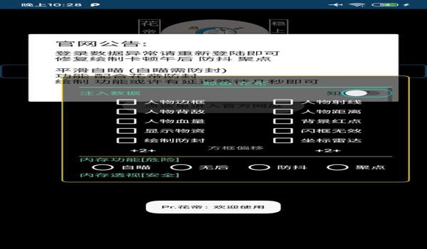 湛蓝工作室和平精英辅助