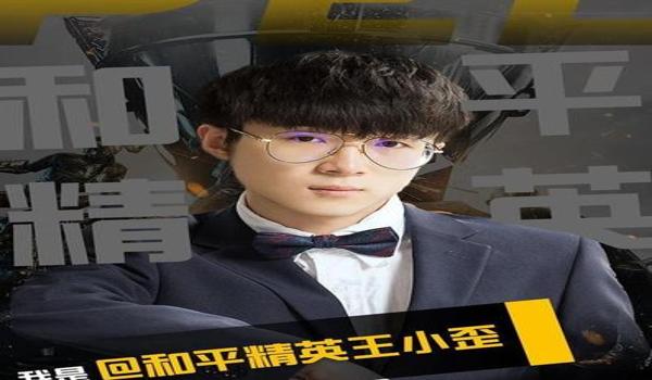 和平精英大仙辅助怎么样