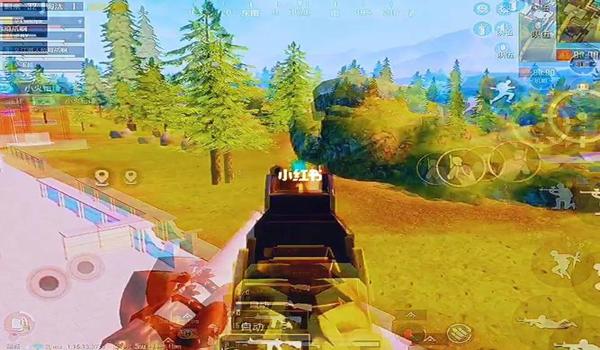 和平精英吃鸡呱呱呱辅助