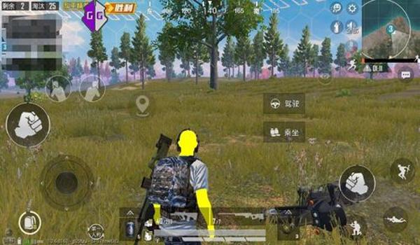 和平精英国际服透视辅助