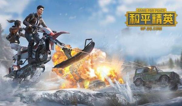 和平精英笨笨辅助怎么玩