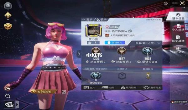 和平精英指挥官辅助怎么玩