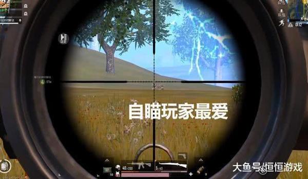 主播和平精英开辅助瞄准吗