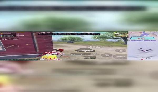 和平精英瓜皮辅助稳定吗