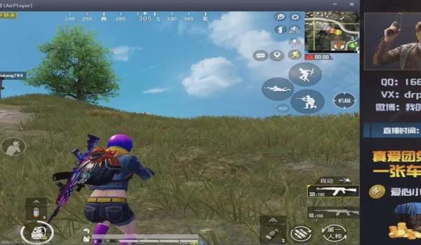 和平精英top内部辅助