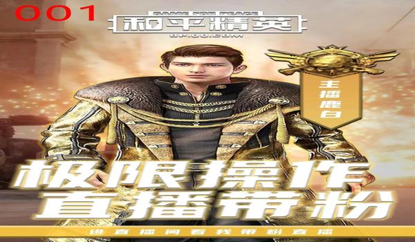 和平精英各大主播用的辅助