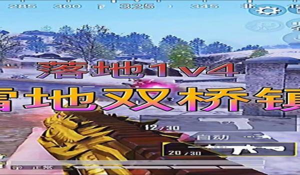 和平精英妲己辅助怎么用