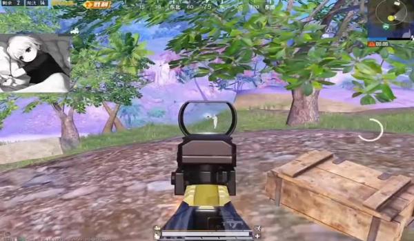 和平精英瞬发辅助怎么开