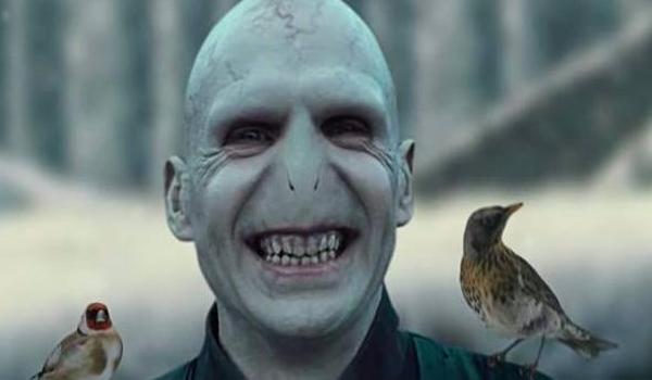 和平精英小蜜蜂绘制辅助