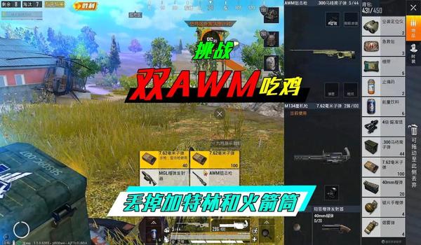 和平精英awm辅助心柔