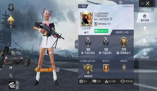 和平精英派大星辅助说明