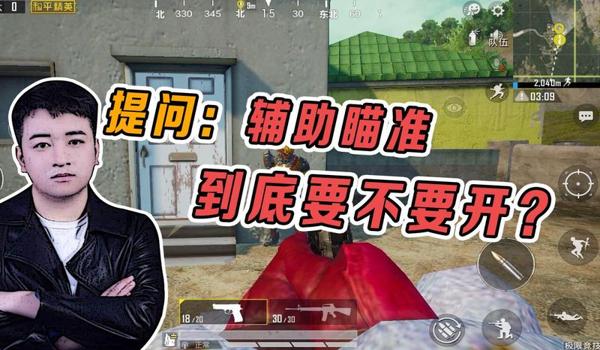 和平精英辅助瞄准特效在哪