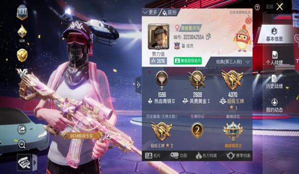 和平精英有什么官方辅助