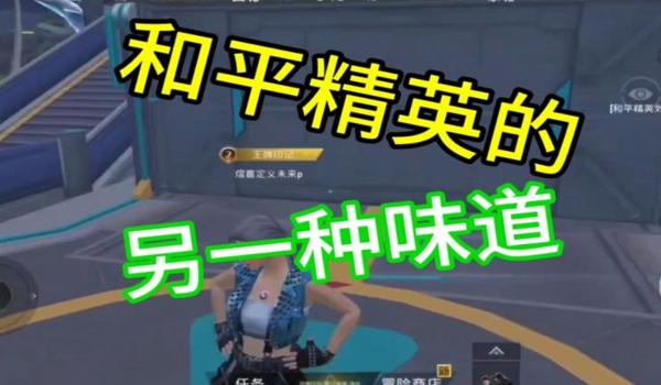 和平精英怎么没有辅助功能