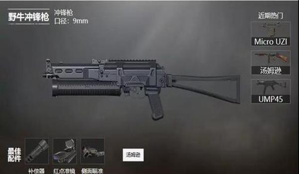 和平精英最强辅助枪排名