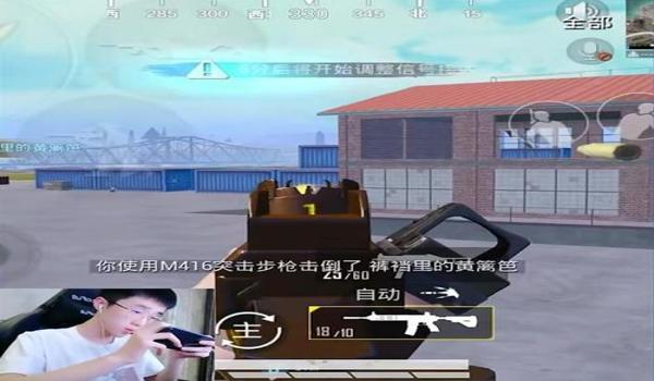 和平精英主播都有辅助器嘛