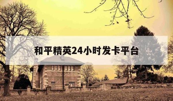 和平精英辅助低价提卡网