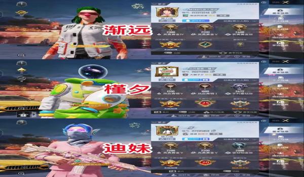 和平精英辅助适合的id