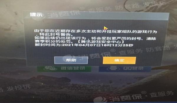 和平精英辅助有谁用过啊