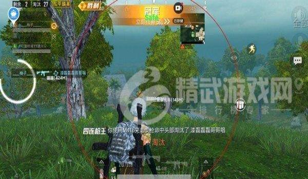 和平精英有几个辅助功能