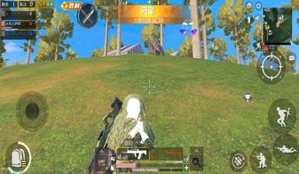 和平精英辅助哪个比较稳