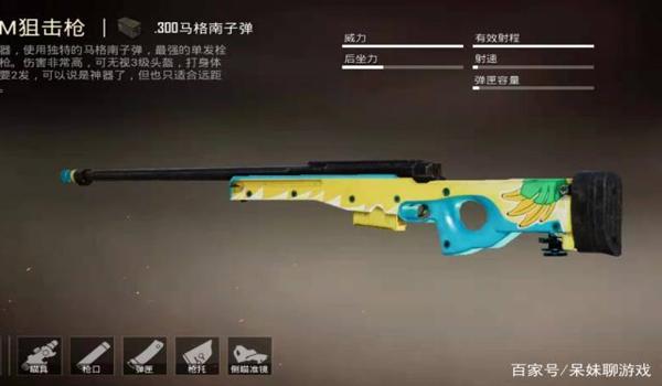 什么叫和平精英的辅助装备